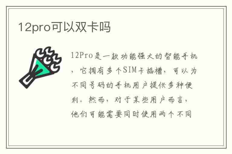 12pro可以双卡吗(苹果12pro可以双卡吗)